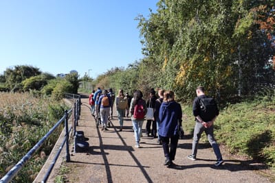 Inside Out: Public Art, Nature and Mental Wellbeing